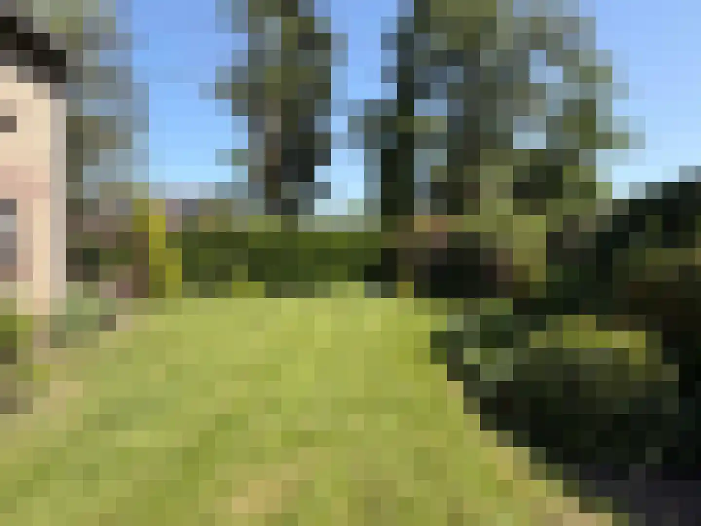 V N laan 46 Coevorden thumbnail 9