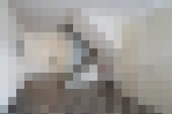 V.O.C.-plein 6 Rotterdam thumbnail 10