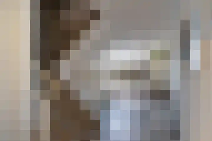 V.O.C.-plein 6 Rotterdam thumbnail 11