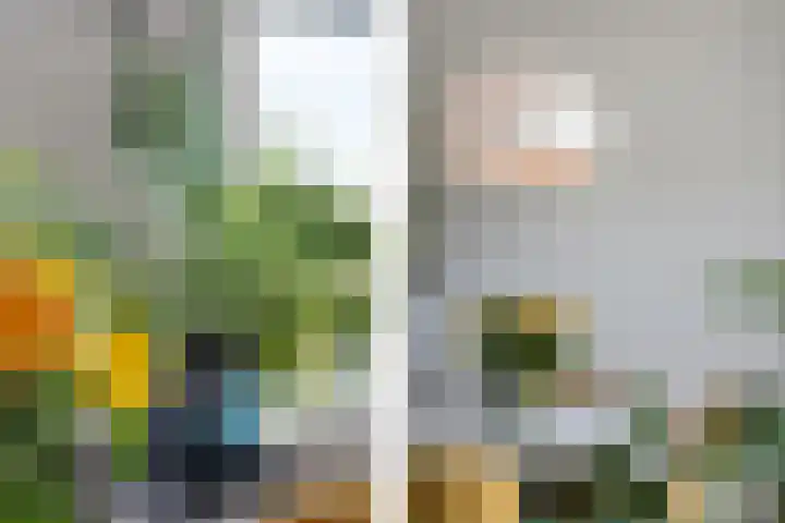 V.O.C.-plein 6 Rotterdam thumbnail 16