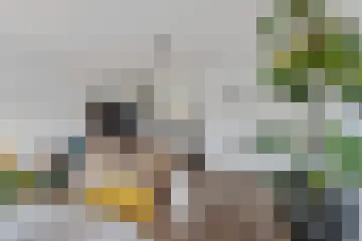 V.O.C.-plein 6 Rotterdam thumbnail 18
