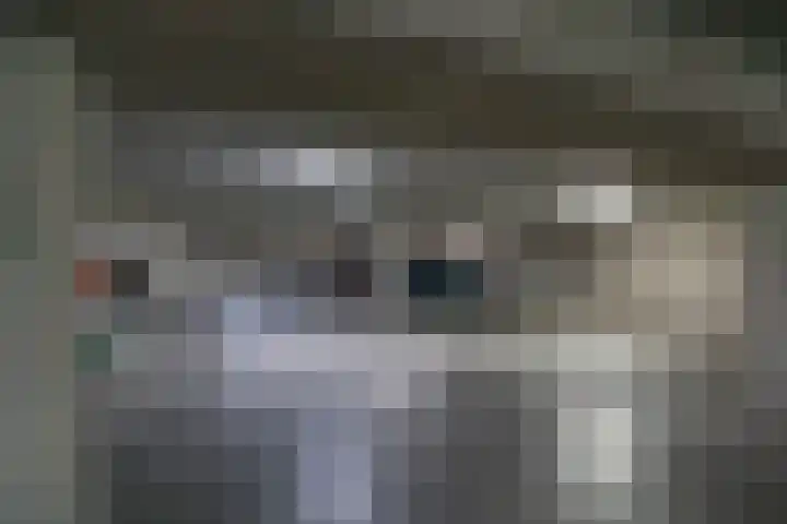 V.O.C.-plein 6 Rotterdam thumbnail 36