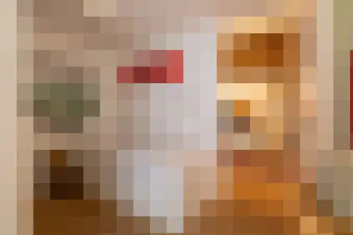 V.O.C.-plein 86 Rotterdam thumbnail 22