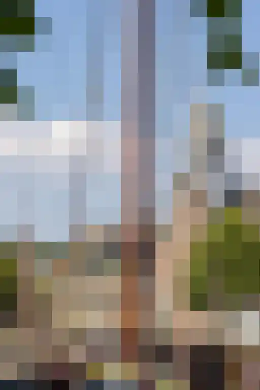 V.O.C.-plein 86 Rotterdam thumbnail 65