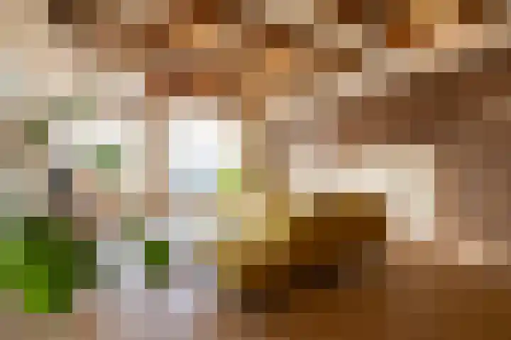 V.O.C.-plein 86 Rotterdam thumbnail 9