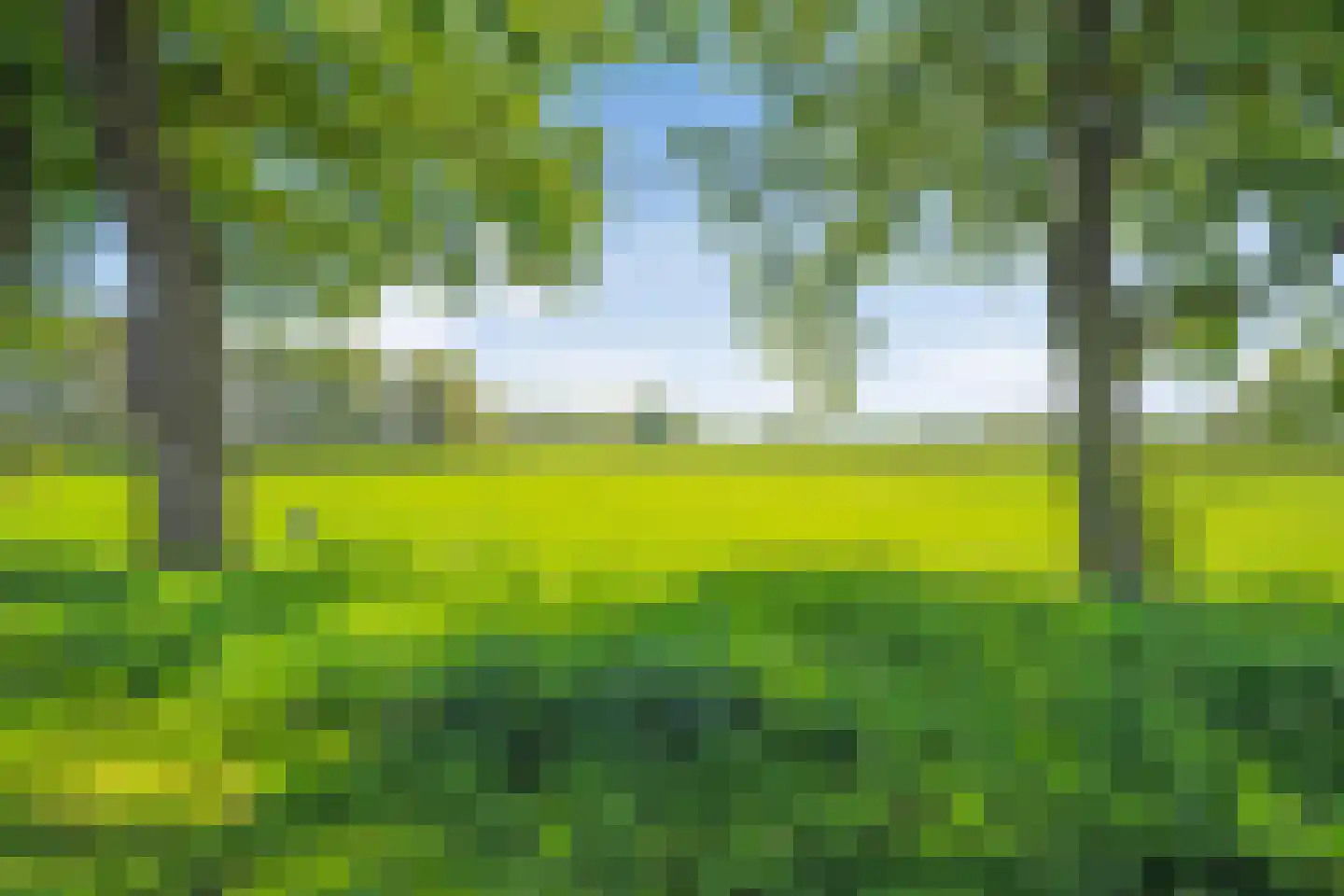 v.Wassenaar v.Obdamstr. 3 Ommen thumbnail 9