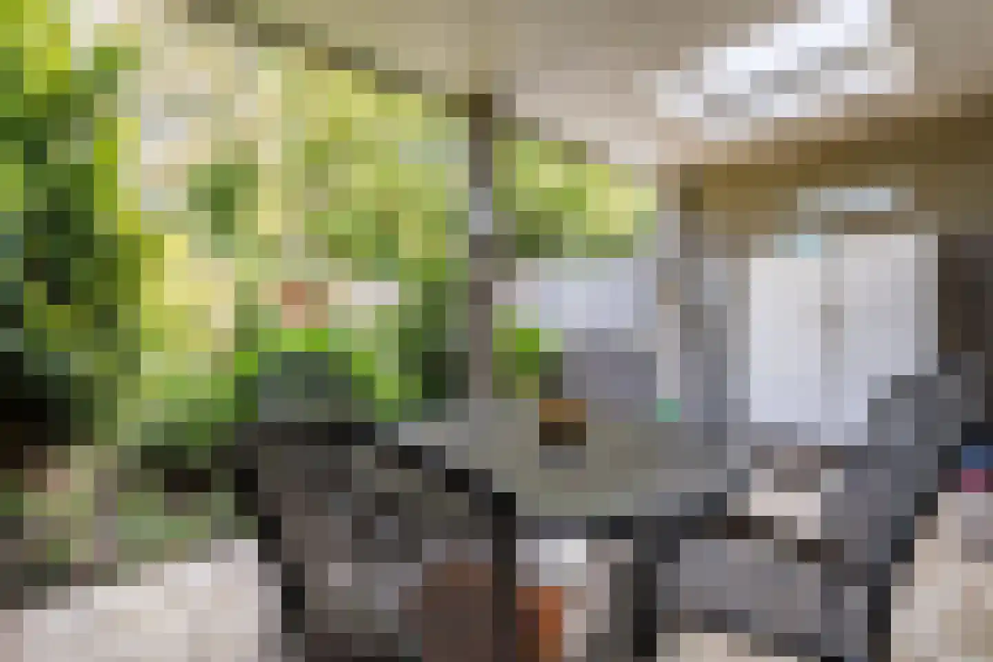 Vaalsbroek 10 Weert thumbnail 37