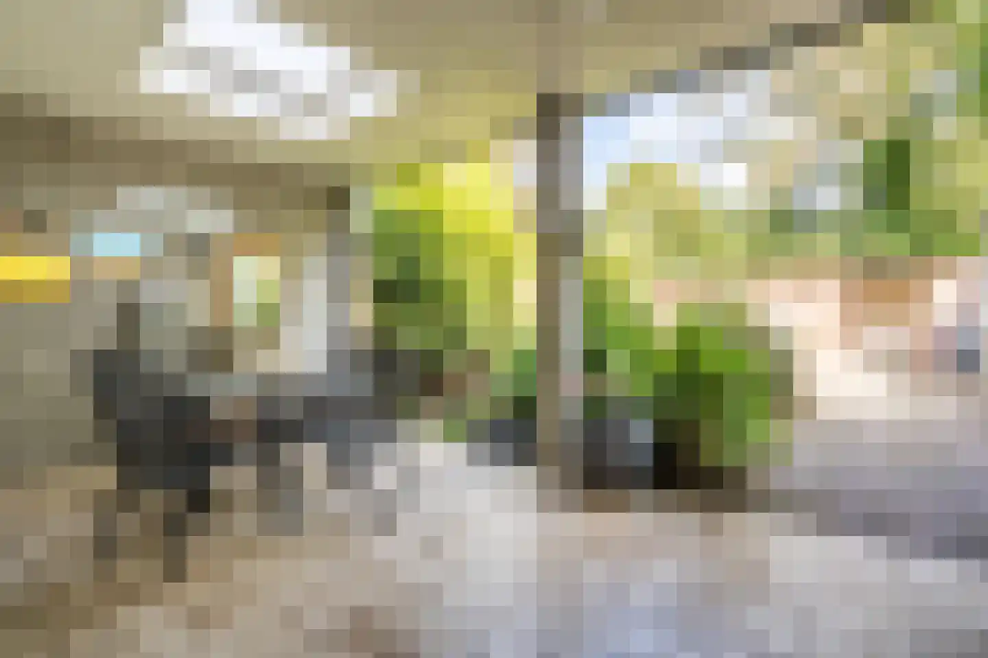 Vaalsbroek 10 Weert thumbnail 4