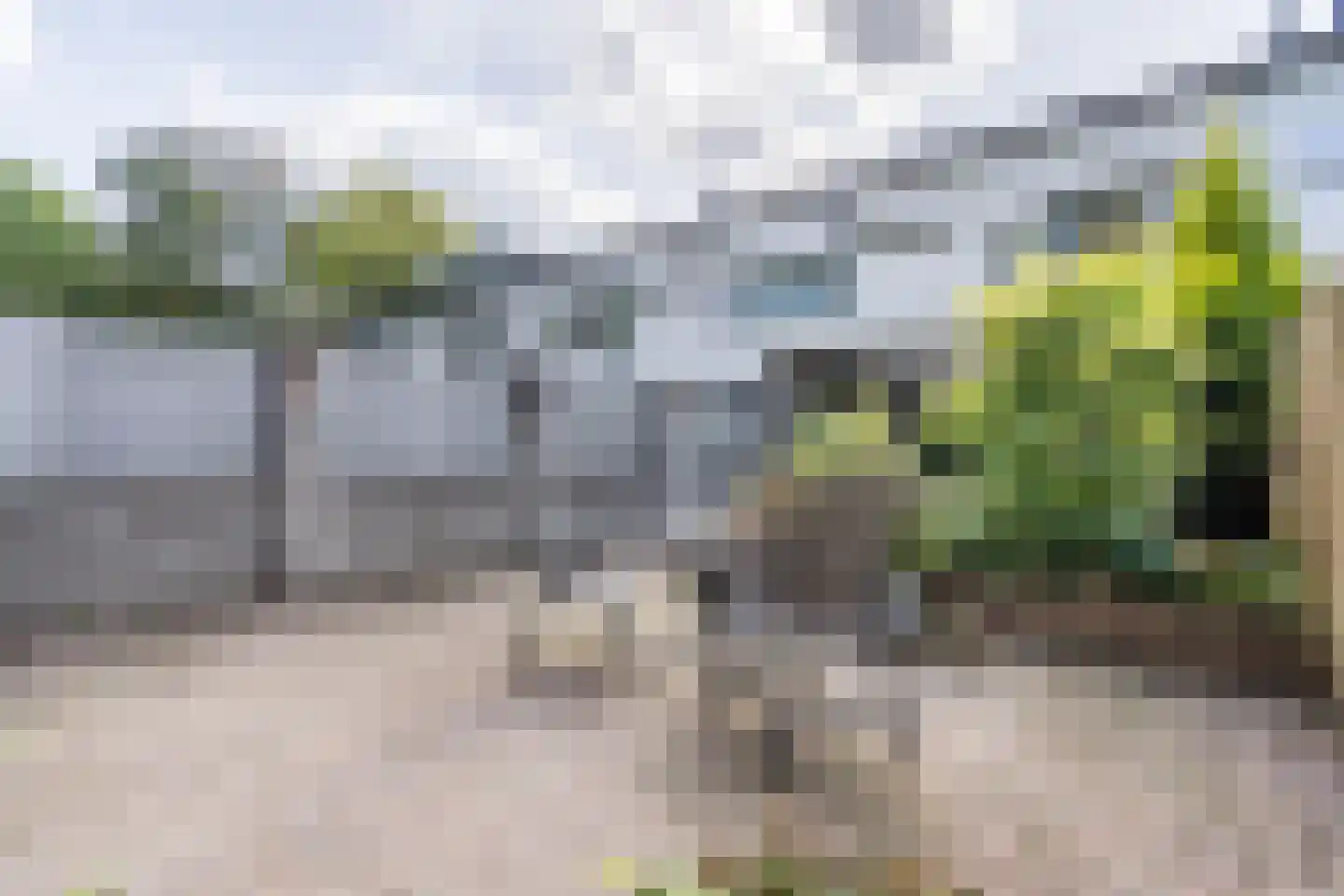Vaalsbroek 10 Weert thumbnail 41