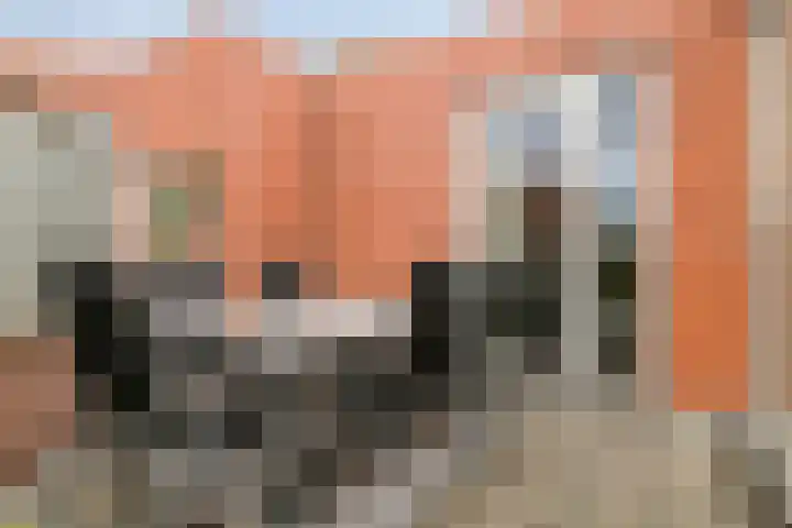 Vaalserberg 111 Capelle aan den IJssel thumbnail 15