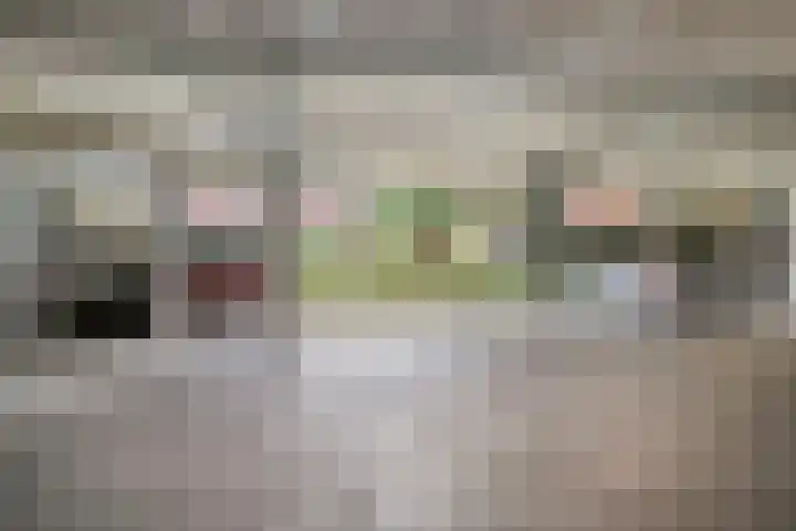 Vaalserberg 111 Capelle aan den IJssel thumbnail 34