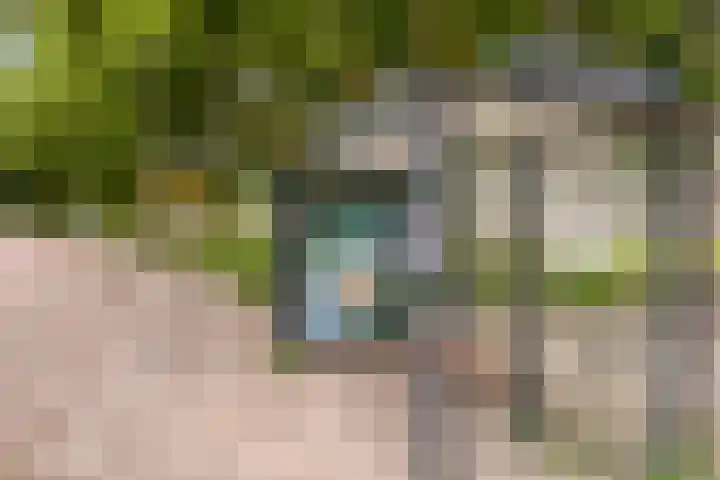 Vaalserberg 111 Capelle aan den IJssel thumbnail 37