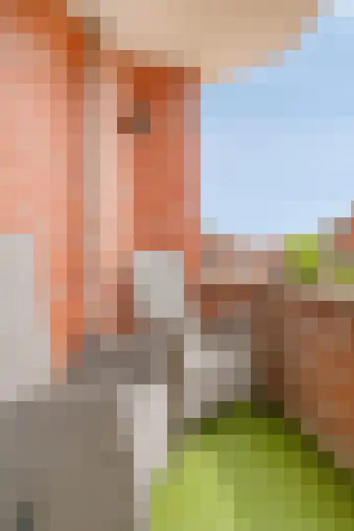 Vaalserberg 111 Capelle aan den IJssel thumbnail 6