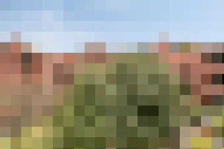 Vaalserberg 111 Capelle aan den IJssel thumbnail 7