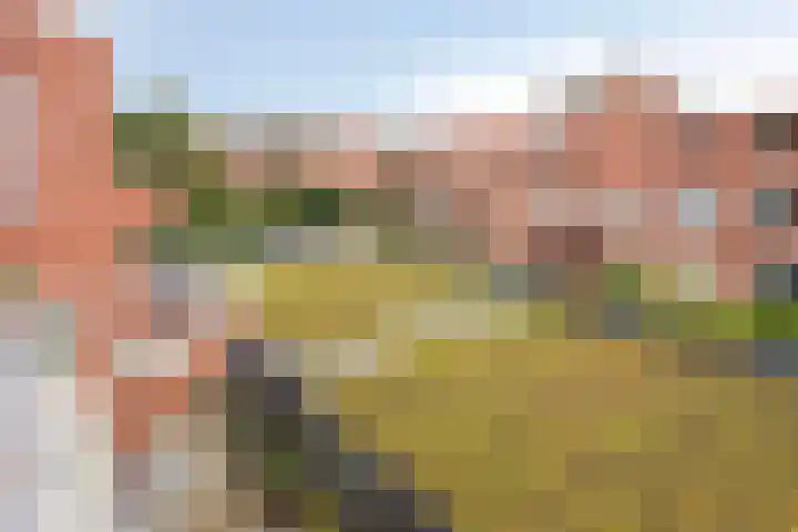 Vaalserberg 112 Capelle aan den IJssel thumbnail 20