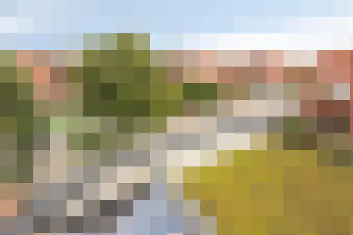 Vaalserberg 112 Capelle aan den IJssel thumbnail 22