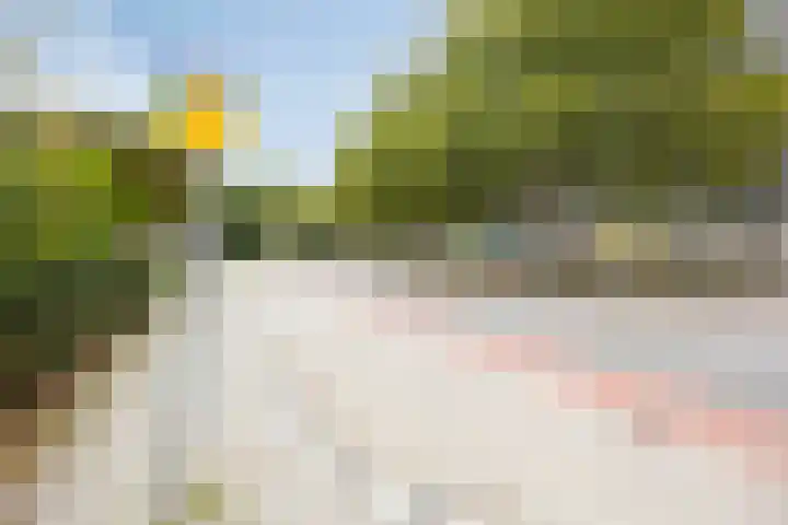 Vaalserberg 112 Capelle aan den IJssel thumbnail 25