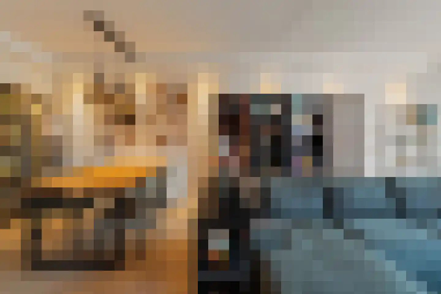 Vaalserberg 121 Capelle aan den IJssel thumbnail 9