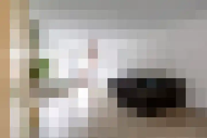 Vaalserberg 168 Capelle aan den IJssel thumbnail 6
