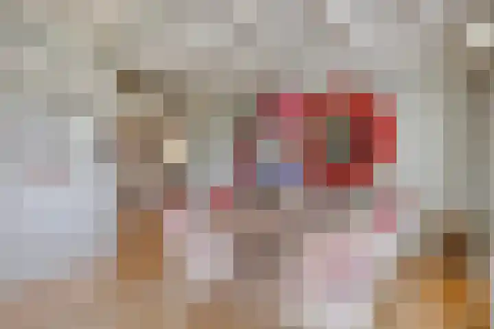 Vaaltkampweg 2 Emst thumbnail 24