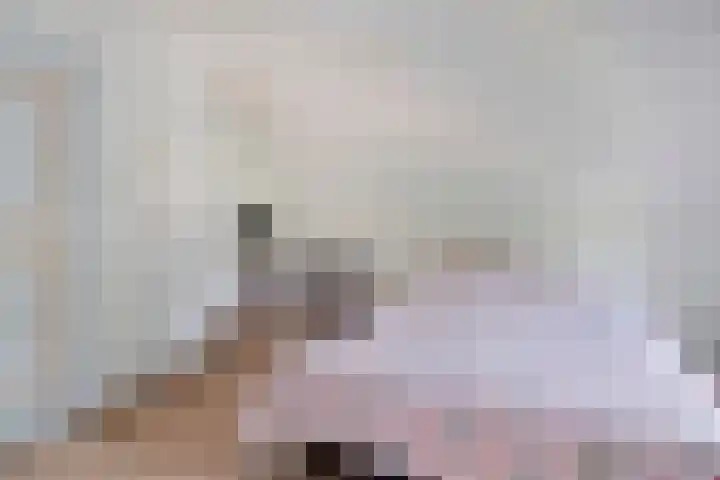 Vaaltkampweg 2 Emst thumbnail 31