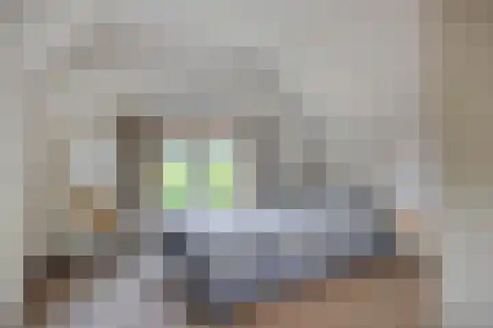 Vaaltkampweg 2 Emst thumbnail 32