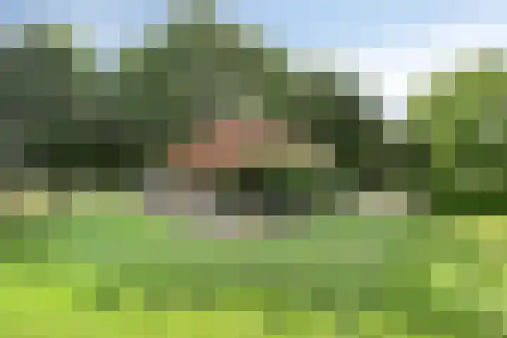 Vaaltkampweg 2 Emst thumbnail 38