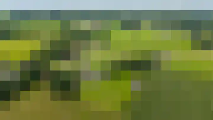 Vaaltkampweg 2 Emst thumbnail 4