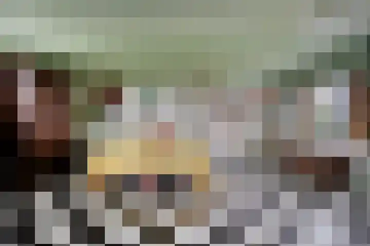 Vaaltkampweg 2 Emst thumbnail 46
