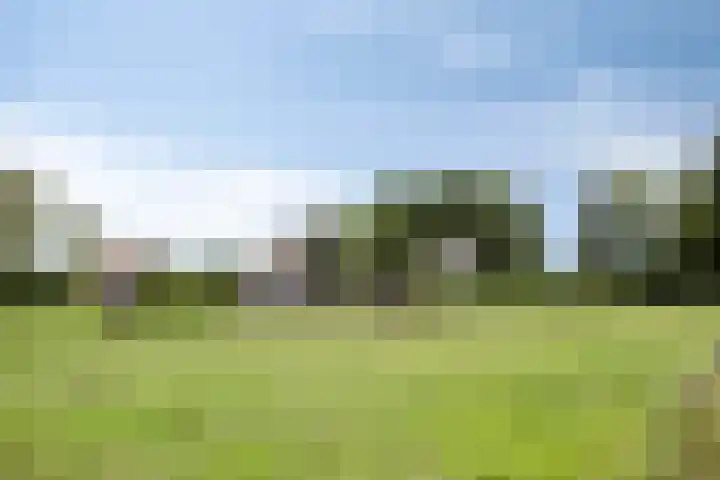 Vaaltkampweg 2 Emst thumbnail 5