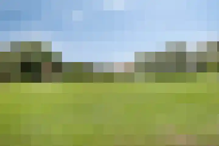 Vaaltkampweg 2 Emst thumbnail 51