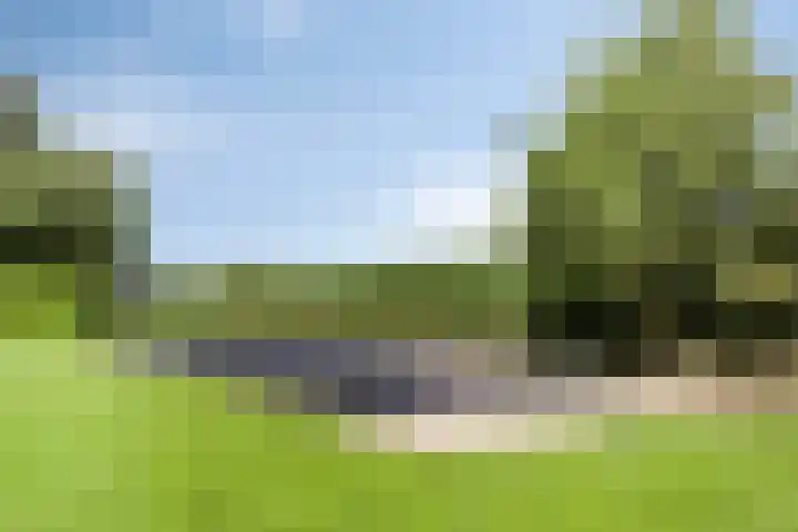 Vaaltkampweg 2 Emst thumbnail 52