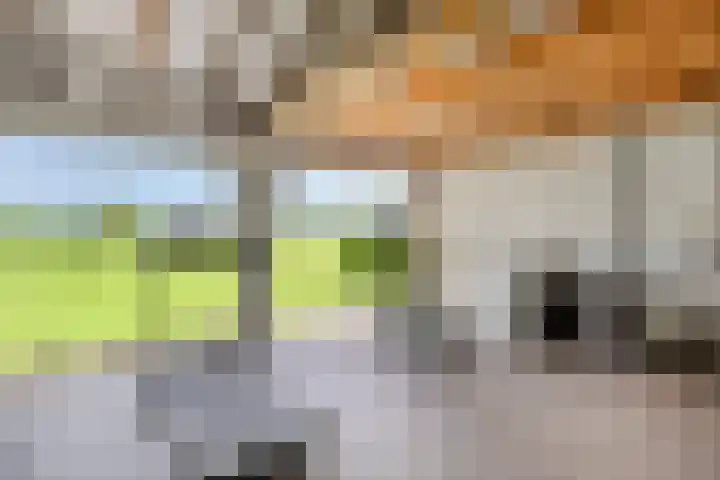 Vaaltkampweg 2 Emst thumbnail 54