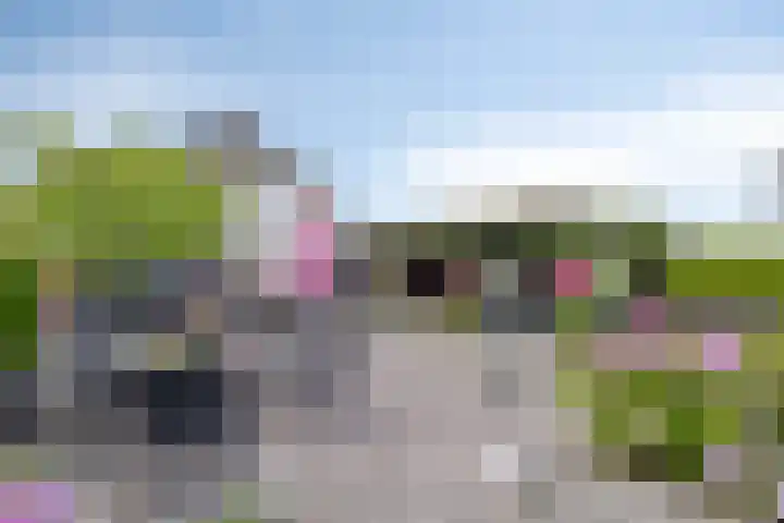 Vaaltkampweg 2 Emst thumbnail 57