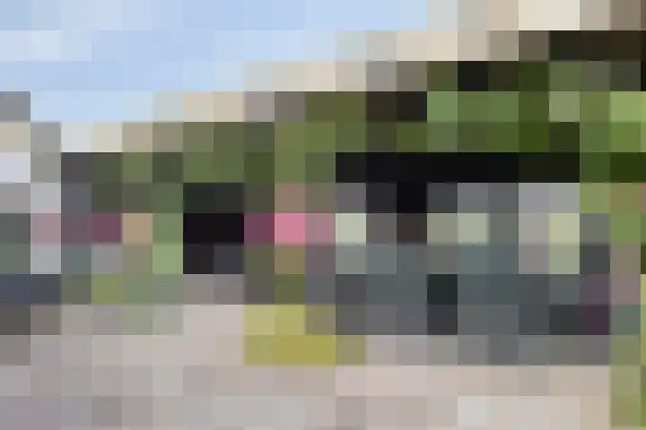 Vaaltkampweg 2 Emst thumbnail 58
