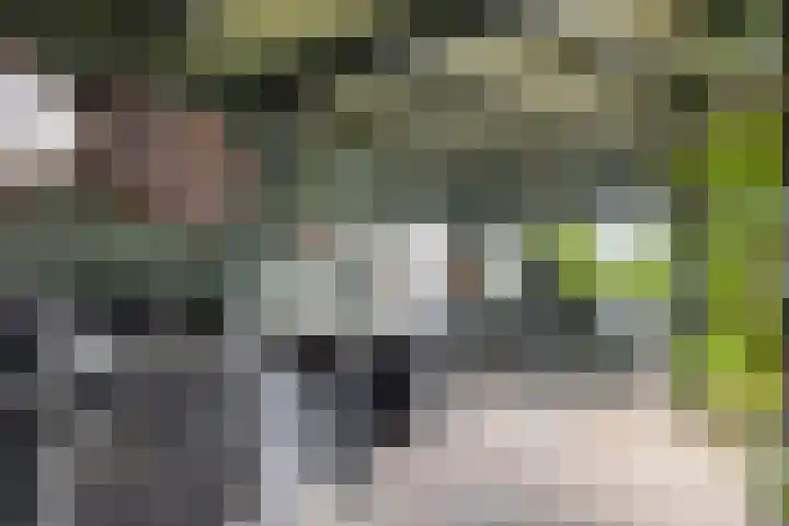 Vaaltkampweg 2 Emst thumbnail 59