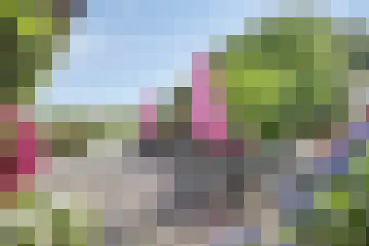 Vaaltkampweg 2 Emst thumbnail 60