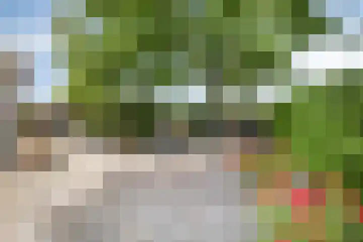 Vaaltkampweg 2 Emst thumbnail 65