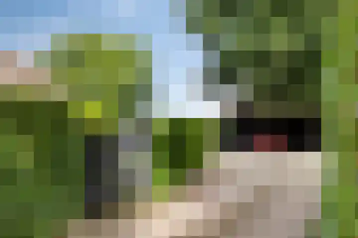 Vaaltkampweg 2 Emst thumbnail 66