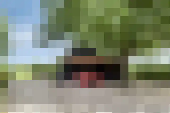 Vaaltkampweg 2 Emst thumbnail 67