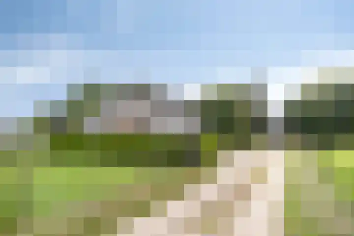Vaaltkampweg 2 Emst thumbnail 70