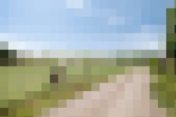 Vaaltkampweg 2 Emst thumbnail 72