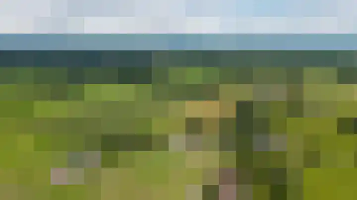 Vaaltkampweg 2 Emst thumbnail 73