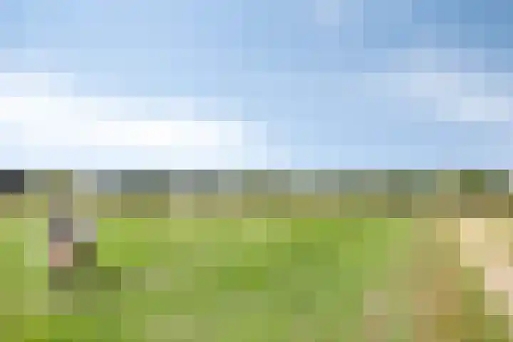 Vaaltkampweg 2 Emst thumbnail 75