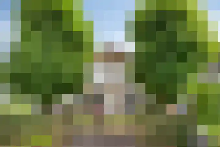 Vaaltkampweg 2 Emst thumbnail 8