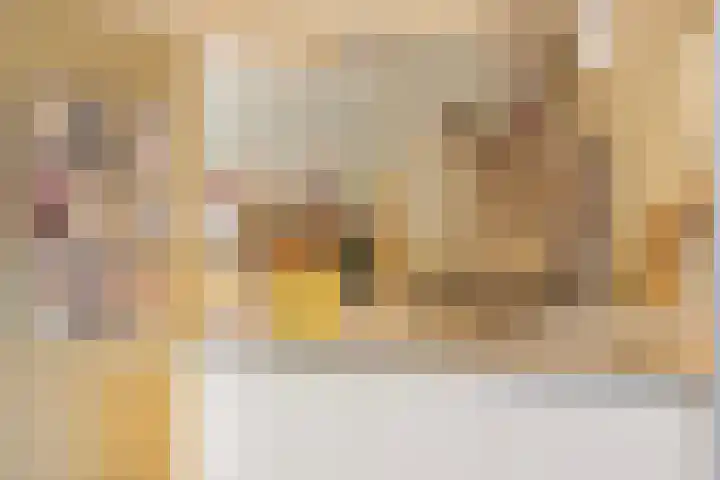 Vaanakker 19 Mierlo thumbnail 11