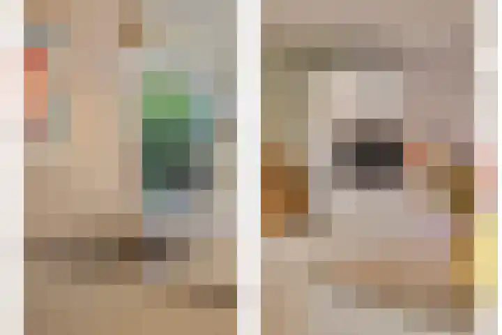 Vaanakker 19 Mierlo thumbnail 12