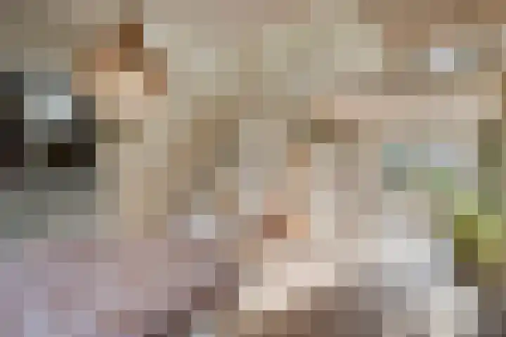 Vaanakker 19 Mierlo thumbnail 13