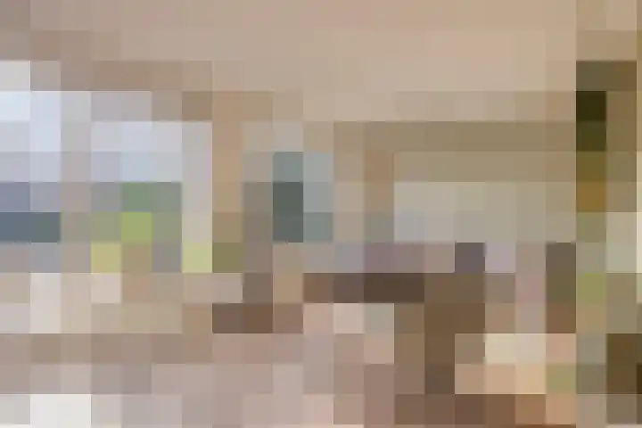 Vaanakker 19 Mierlo thumbnail 16