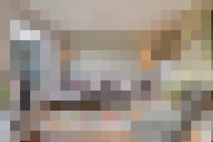 Vaanakker 19 Mierlo thumbnail 17
